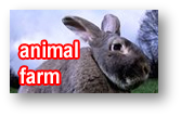 Watch animal farm